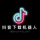 抖音 / TikTok 解析